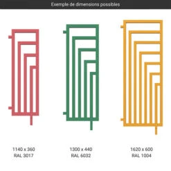 Sèche-serviette Chauffage Central - Couleur Au Choix - Angus DW/ZX -Sèche-Serviettes gamme seche serviettes angus dw couleur 1