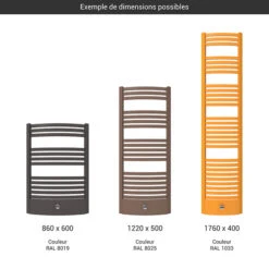 Sèche-serviette Chauffage Central - Couleur Au Choix - Raccordement Au Centre - Dexter/P/ZX -Sèche-Serviettes gamme seche serviettes dexter pro couleur