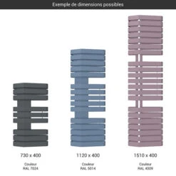 Sèche-serviette électrique - Couleur Au Choix - Raccordement à Droite - Iron S/E8/400 -Sèche-Serviettes gamme seche serviettes iron s 400 couleur 1