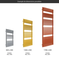 Sèche-serviette Chauffage Central - Couleur Au Choix - Raccordement Au Centre - Tytus/ZX -Sèche-Serviettes gamme seche serviettes tytus couleur 1